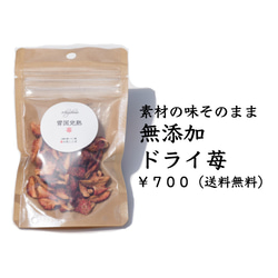 ドライ苺　越後姫　１５g  無添加無着色無香料　安心安全な定植後化学農薬不使用ドライフルーツ　いちご ※232 1枚目の画像