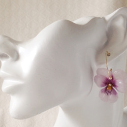 染め花を樹脂加工したビオラのフープピアス(M・薄紫&赤紫) 3枚目の画像