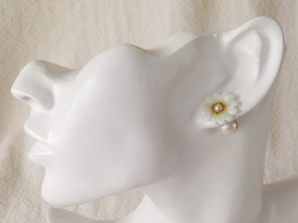 染め花を樹脂加工したミニデイジーピアス・コットンパールキャッチ(ホワイト) 1枚目の画像