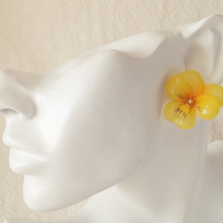 染め花を樹脂加工したビオライヤリング( M・黄色) 2枚目の画像