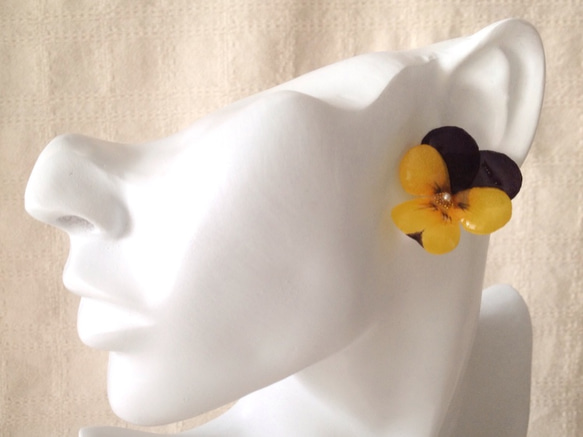 染め花を樹脂加工したビオラピアス( M・紫黄色) 2枚目の画像