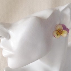 染め花を樹脂加工したビオラピアス( S・薄紫黄色) 2枚目の画像