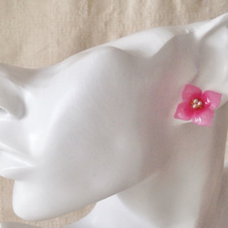 コットンパール付き染め花を樹脂加工した紫陽花ピアス( S・ピンク) 4枚目の画像