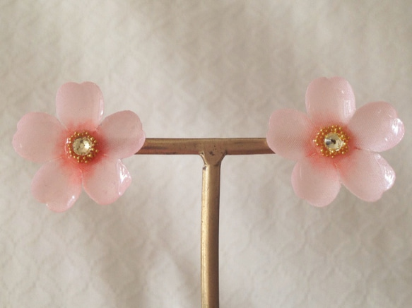 染め花を樹脂加工した桜ピアス(L・ピンク) 1枚目の画像