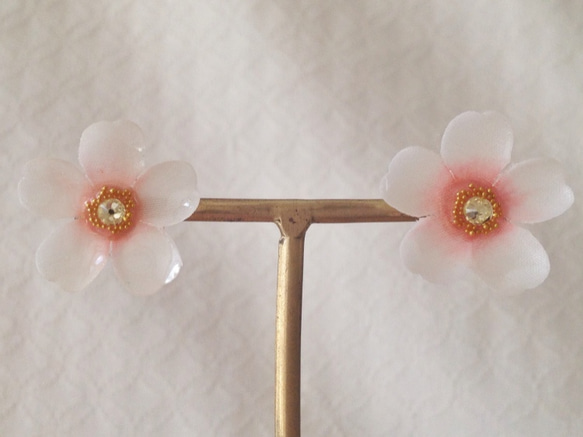 染め花を樹脂加工した桜ピアス(L・ホワイト×ピンク) 1枚目の画像