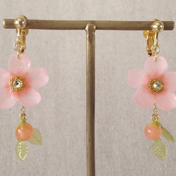 染め花を樹脂加工した桜のぶら下がりイヤリング(蕾&葉付、ピンク) 1枚目の画像