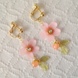 染め花を樹脂加工した桜のぶら下がりイヤリング(蕾&葉付、ピンク) 2枚目の画像