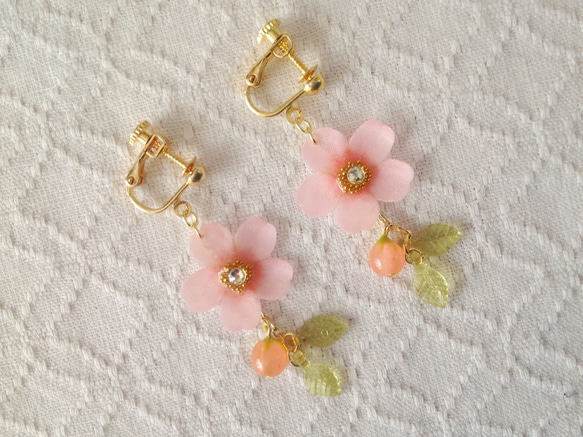 染め花を樹脂加工した桜のぶら下がりイヤリング(蕾&葉付、ピンク) 2枚目の画像
