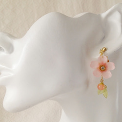染め花を樹脂加工した桜のぶら下がりイヤリング(蕾&葉付、ピンク) 3枚目の画像
