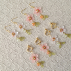 染め花を樹脂加工した桜のぶら下がりイヤリング(蕾&葉付、ピンク) 4枚目の画像