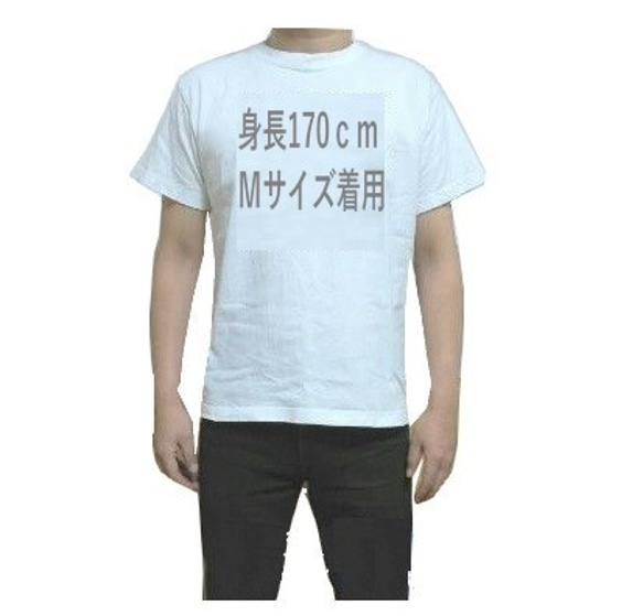 猫富士Tシャツ　Ｍ～ＸＬ 4枚目の画像