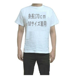 猫名言Ｔシャツ　Ｍ～ＸＬ 3枚目の画像