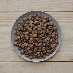 パナマ・クアトロ・カミーノス【浅煎り】自家焙煎コーヒー豆（珈琲豆）100g 1枚目の画像