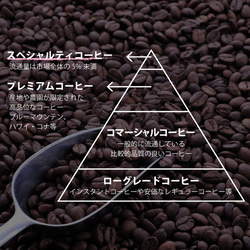 タンザニア・カンジ・ラルジKIBO【中深煎り】自家焙煎コーヒー豆（珈琲豆）100g 4枚目の画像