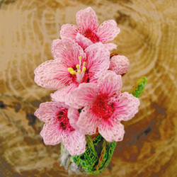 桜 タックピン -ピンク- 1枚目の画像