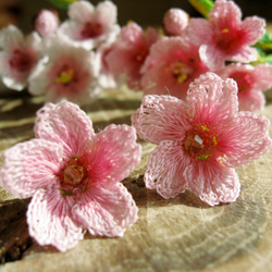 桜 ピアス 1枚目の画像