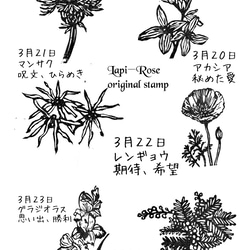 ３月の誕生花スタンプ  取っ手なし 4枚目の画像