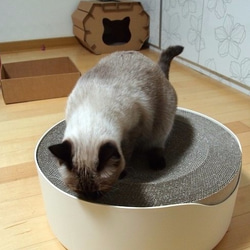 Kogongcat瞑想猫のベッド|段ボール置換グループ（シングルロードされました） 4枚目の画像