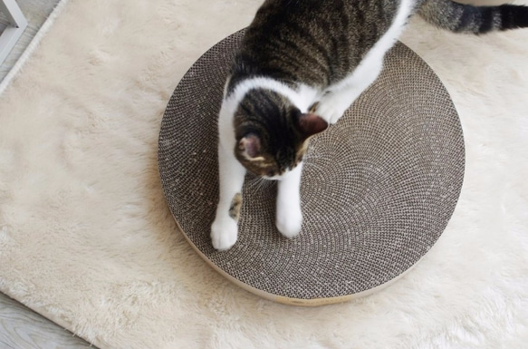 Kogongcat瞑想猫のベッド|段ボール置換グループ（シングルロードされました） 5枚目の画像