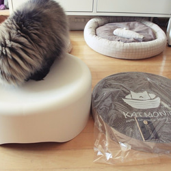 Kogongcat瞑想猫のベッド|段ボール置換グループ（シングルロードされました） 8枚目の画像