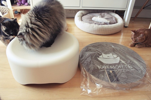 Kogongcat瞑想猫のベッド|段ボール置換グループ（シングルロードされました） 8枚目の画像