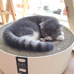 Kogongcat 冥想貓床 ｜瓦楞紙替換組 ( 三片裝 ) 第7張的照片