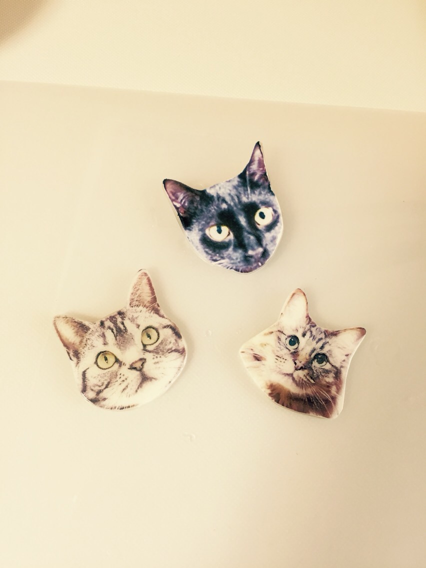 NO.893❤猫❤レジンへアゴム ブローチ 猫のヘアゴム レジン | iichi 日々