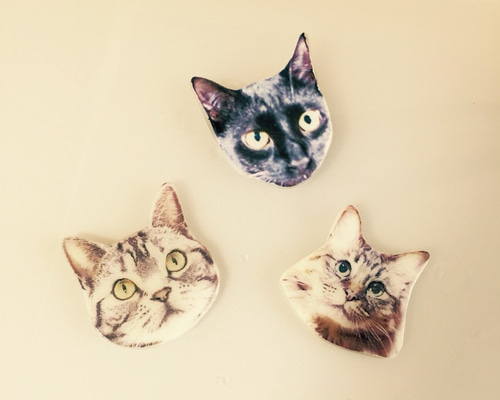 0_911df0135742ff2011e1fe1316b2