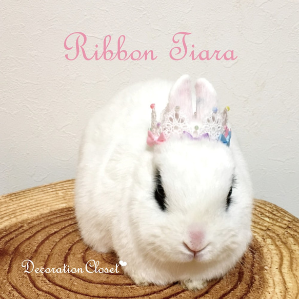 Ribbon Tiara▷Mix◁ 1枚目の画像