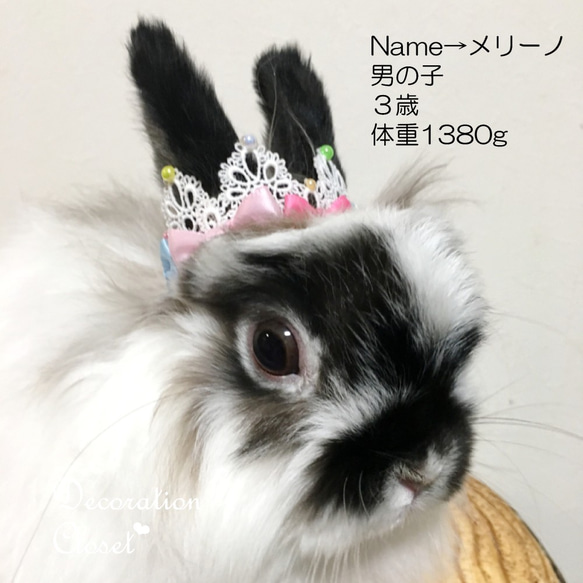 Ribbon Tiara▷Mix◁ 6枚目の画像