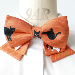 異想天開的黑貓領結，領子 第4張的照片