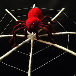 蜘蛛~赤 1枚目の画像