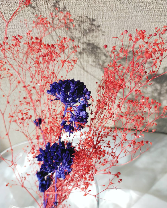 スワッグ ﾐﾆ 花束 『  かすみ草 アキレア 　ー2Wey Styleー』 紅色 赤 ネオン ブルー 青 2枚目の画像
