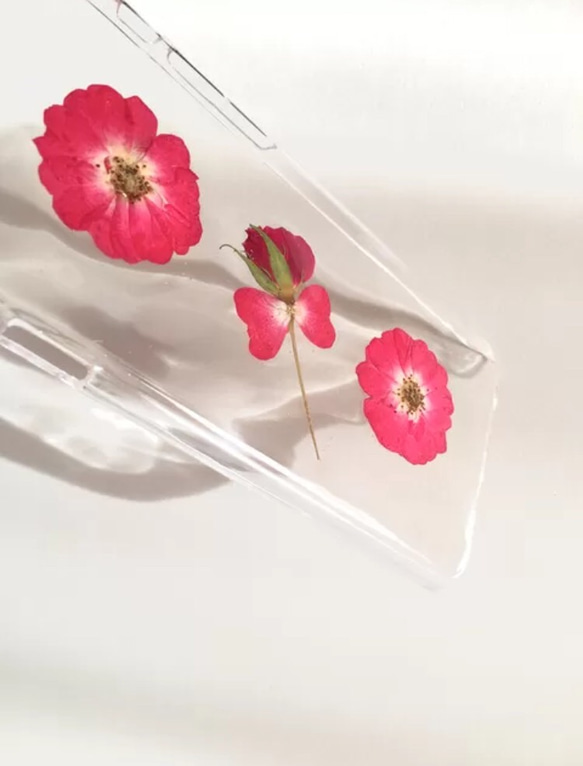 Rose  押し花iPhoneケース 3枚目の画像