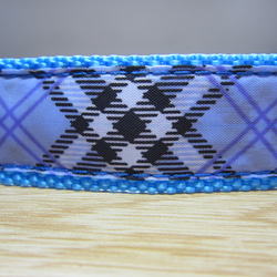 中・大型犬　チェックの首輪(青+水色)ダブルＤカン　ナスカンをかける金具が２つ付いている首輪です 3枚目の画像