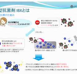 あらゆる菌の「除菌」「抗菌」ができる「IBX」 5枚目の画像