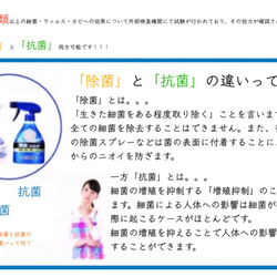 あらゆる菌の「除菌」「抗菌」ができる「IBX」 6枚目の画像