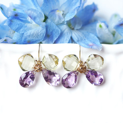 14KGF 檸檬石英紫水晶蝴蝶耳環 ~Papillon 第1張的照片