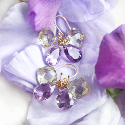 14KGF 檸檬石英紫水晶蝴蝶耳環 ~Papillon 第2張的照片