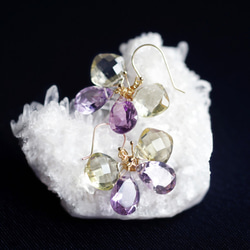 14KGF 檸檬石英紫水晶蝴蝶耳環 ~Papillon 第6張的照片