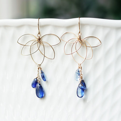 K18 pierced earring with Kyanite. 第7張的照片