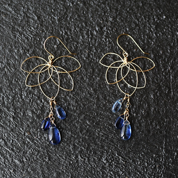 K18 pierced earring with Kyanite. 第10張的照片