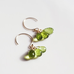 14KGF Pierced earring with Peridot 第1張的照片