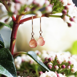 14KGF 印加玫瑰金碧輝煌栗色切割耳環 ~ Ludivine 第9張的照片
