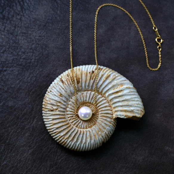 14KGF 40cm Neckrace with Shell Pearl. 第3張的照片