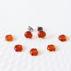 Titanium Pierced earring with Amber 第2張的照片