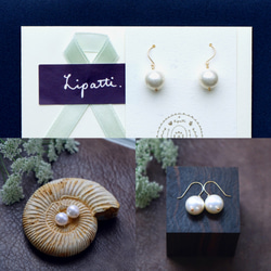14KGF Pierced earring with Shell Pearls. 第4張的照片