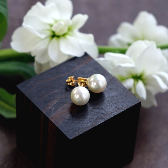 14KGF Pierced earring with Shell Pearls. 第1張的照片