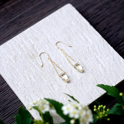 14KGF Pierced earring with skcapolite. 第1張的照片