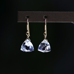 14KGF pierced earring with crystal 第2張的照片